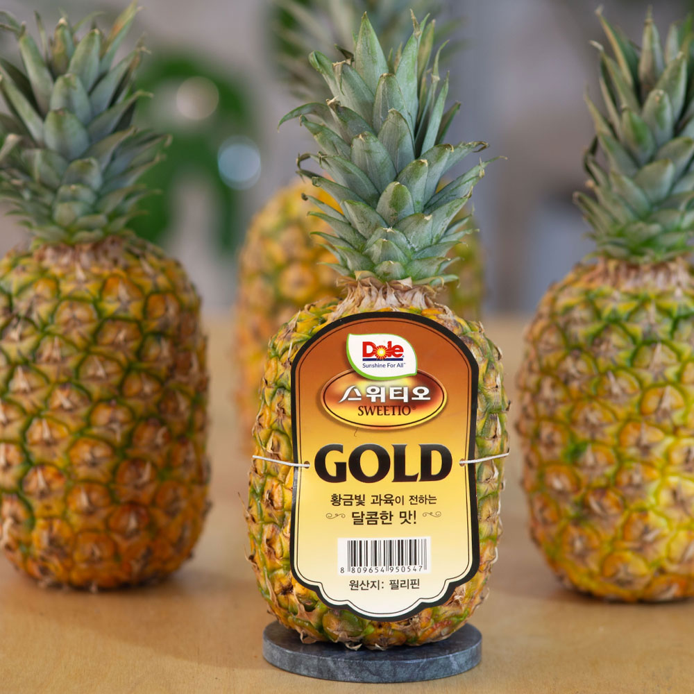 스위티오 고당도 황금 골드 파인애플 대과